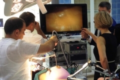 Impressions from the Manager Training Programme with Azerbaijan