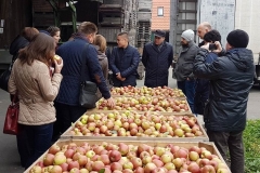 Impressions from the Manager Training Programme with Belarus