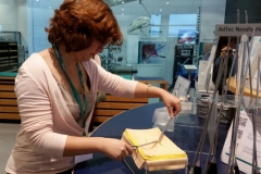 Impressions from the Manager Training Programme with Belarus