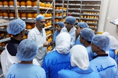 Cheese production: Students learn more about the taste and texture of cheese in the ripening room.