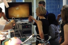 Impressions from the Manager Training Programme with Uzbekistan