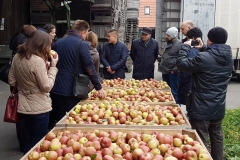 Impressions from the Manager Training Programme with Russia