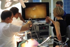 Impressions from the Manager Training Programme with Uzbekistan